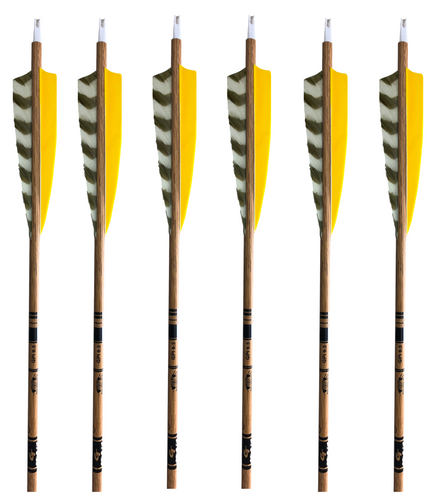 Gold Tip Traditional Carbon Arrows -  6 Pack - Yellow