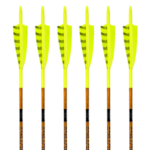 Black Eagle Vintage Carbon Arrows -  Flo Yellow