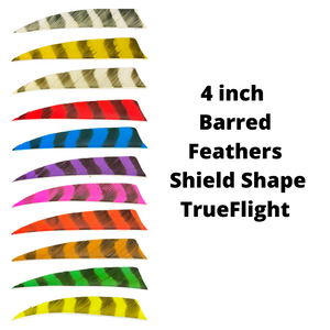 Trueflight - Shield Cut - 4" - Barred Feathers