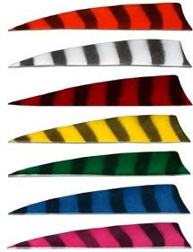 Bearpaw - Shield Cut - 4" - Barred Feathers