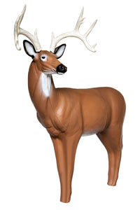 Real Wild 3D Big Buck Deer with EZ Pull Foam - - FREE SHIPPING