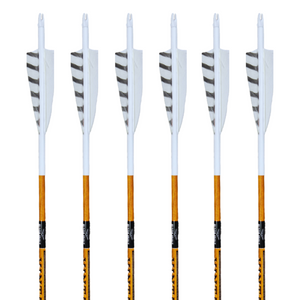 Black Eagle Vintage Carbon Arrows -  White Out