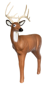 Real Wild 3D Medium Series Alert Buck with EZ Pull Foam - - FREE SHIPPING