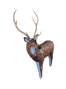 Real Wild 3D Axis Deer with EZ Pull Foam - - FREE SHIPPING