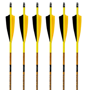 Black Eagle Vintage Carbon Arrows -  Yellow Jacket