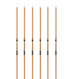 Gold Tip - Traditional Carbon Shafting - 6 Pack